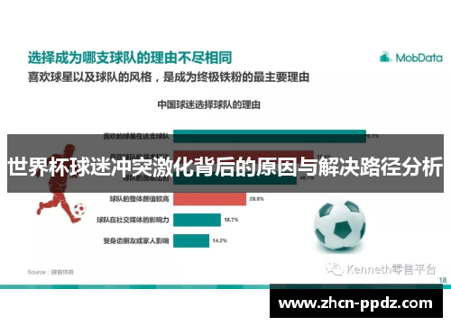 世界杯球迷冲突激化背后的原因与解决路径分析 世界杯球迷冲突激化背后的原因与解决路径分析