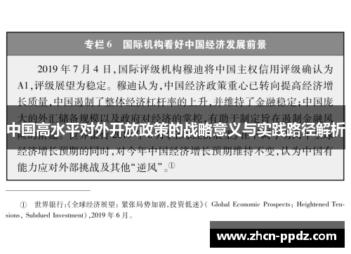 中国高水平对外开放政策的战略意义与实践路径解析