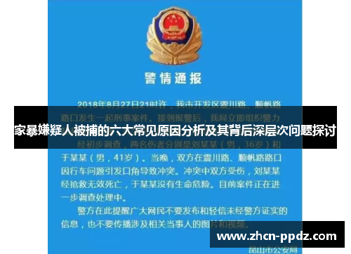 家暴嫌疑人被捕的六大常见原因分析及其背后深层次问题探讨