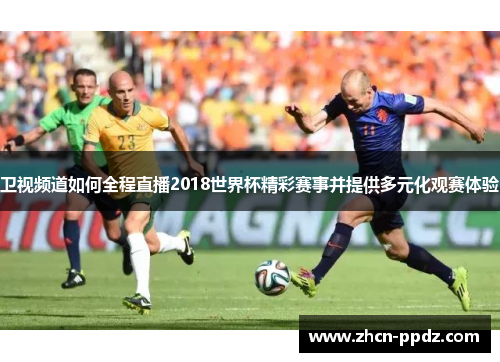 卫视频道如何全程直播2018世界杯精彩赛事并提供多元化观赛体验 卫视频道如何全程直播2018世界杯精彩赛事并提供多元化观赛体验